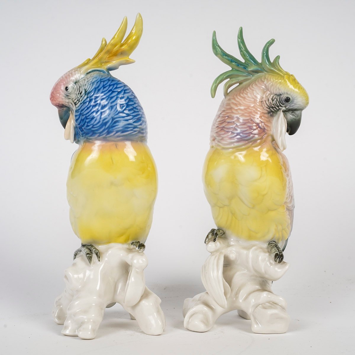 A Pair Of Porcelain Parrots -photo-5