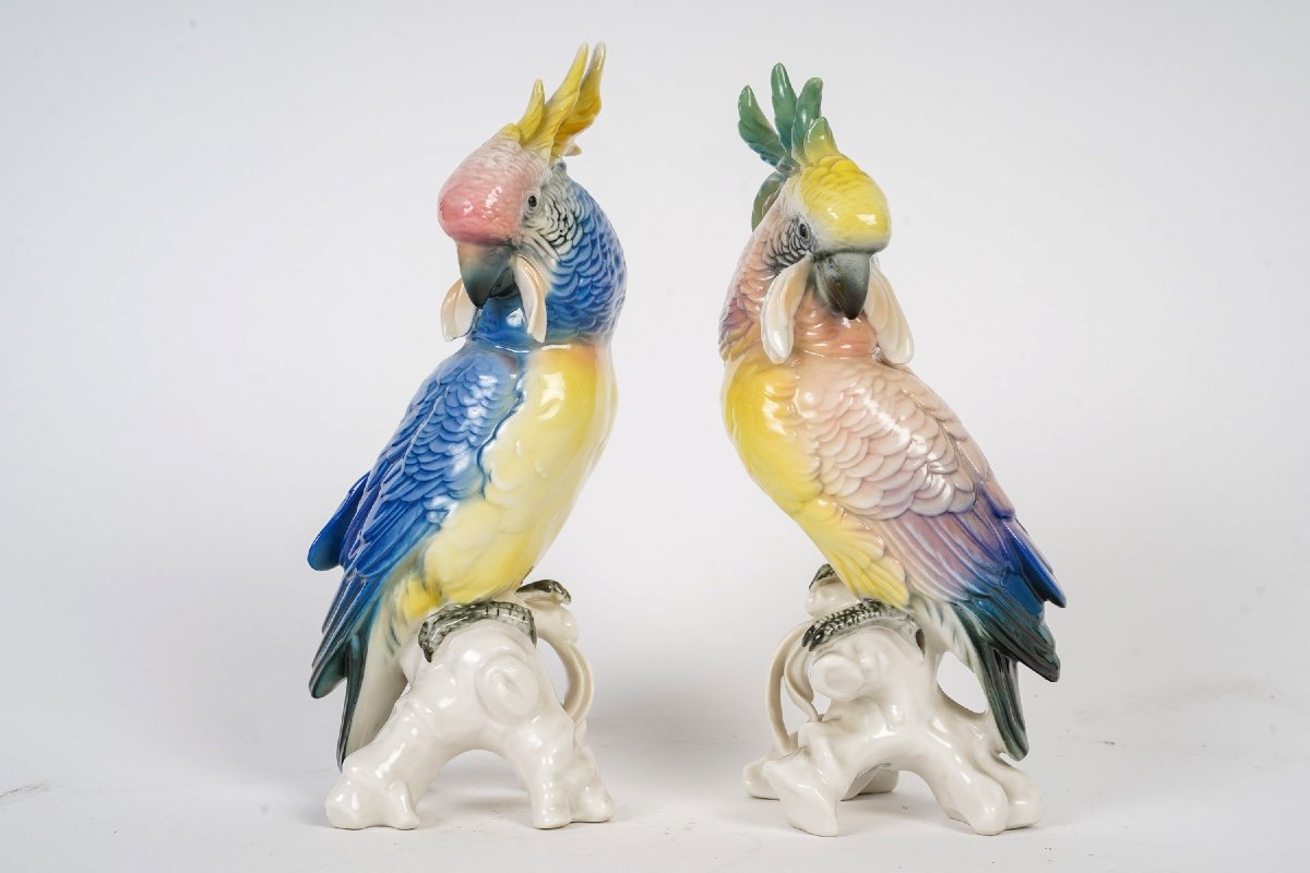 A Pair Of Porcelain Parrots 