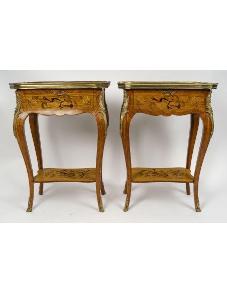 Louis XV Style Side Tables, Napoleon III Period, In Precious Wood Marquetry -photo-7