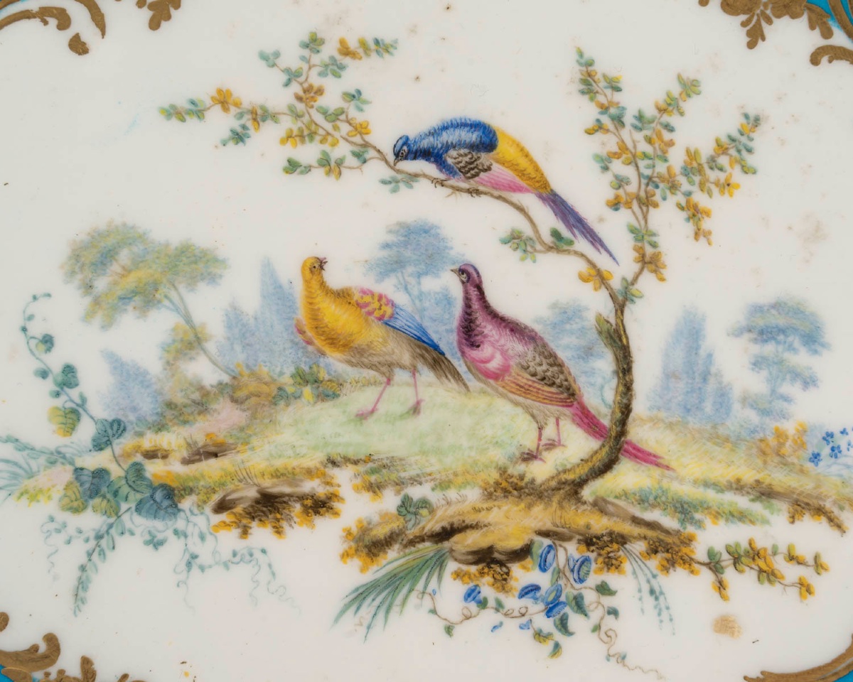 A Sèvres Porcelain Cup, 18th Century -photo-5