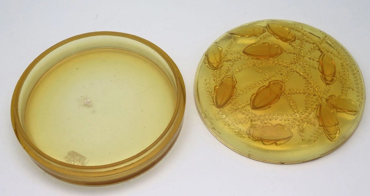 René Lalique : Boite « Cleones » Teinté Jaune-photo-3