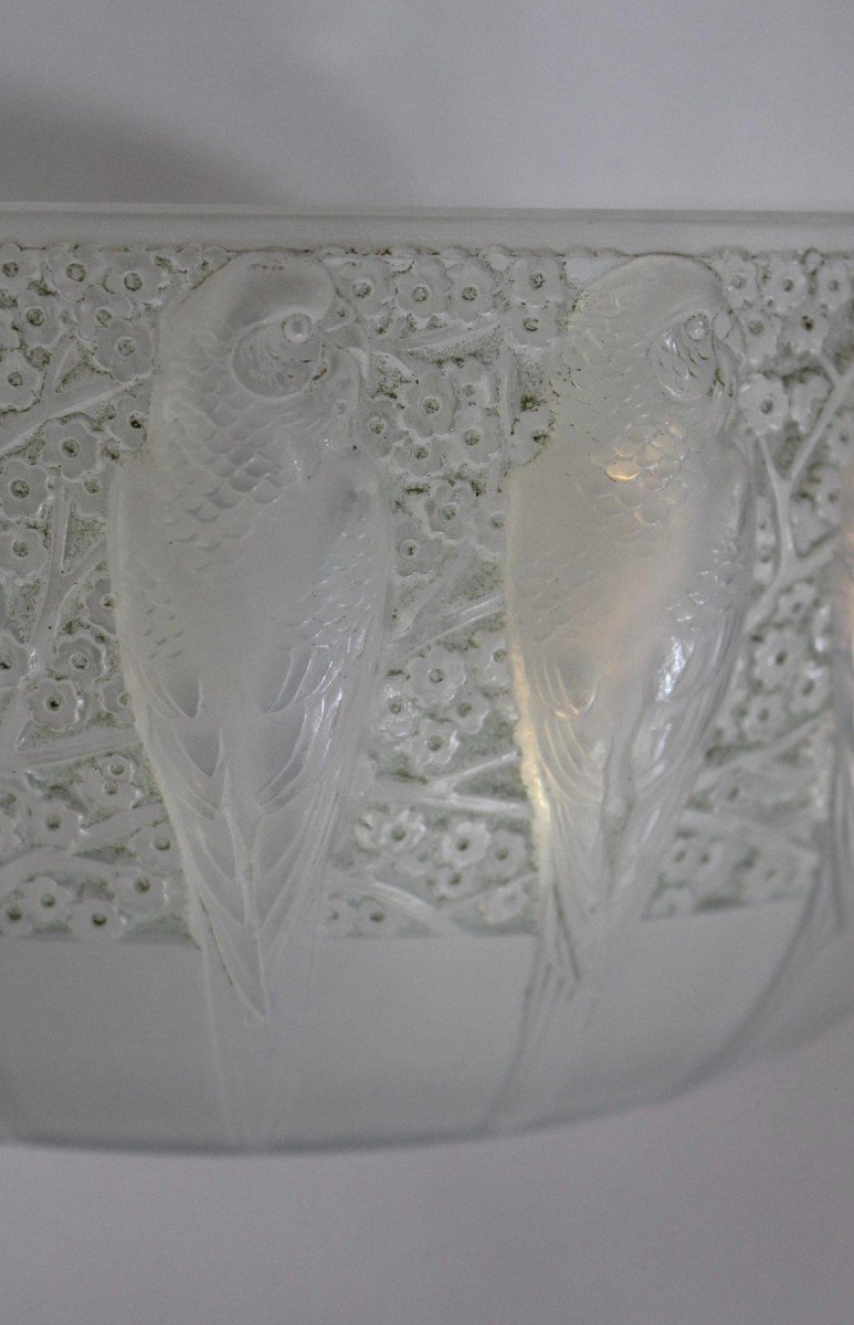 René Laliqu , 1931 "perruches" Opalescent Cup.-photo-4