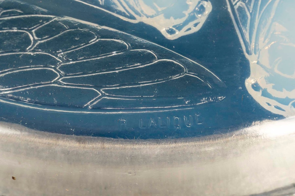1921 - René Lalique - “cléones” Box-photo-1