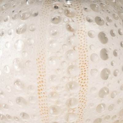 René Lalique (1860 -1945) : Vase boule modèle «Oursin»-photo-2