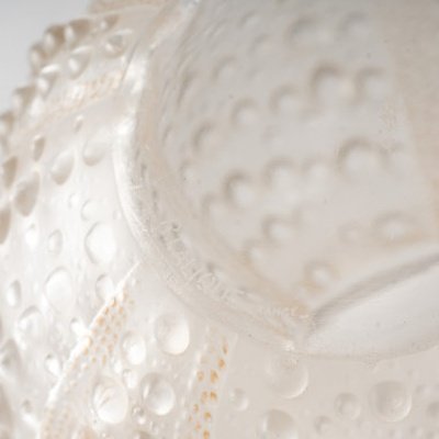 René Lalique (1860 -1945) : Vase boule modèle «Oursin»-photo-3