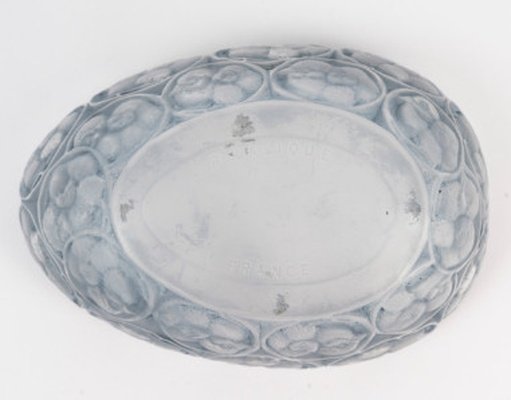 René Lalique: "chicks" Box, 1929-photo-3