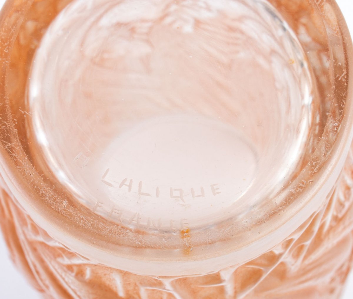 Vase -photo-4