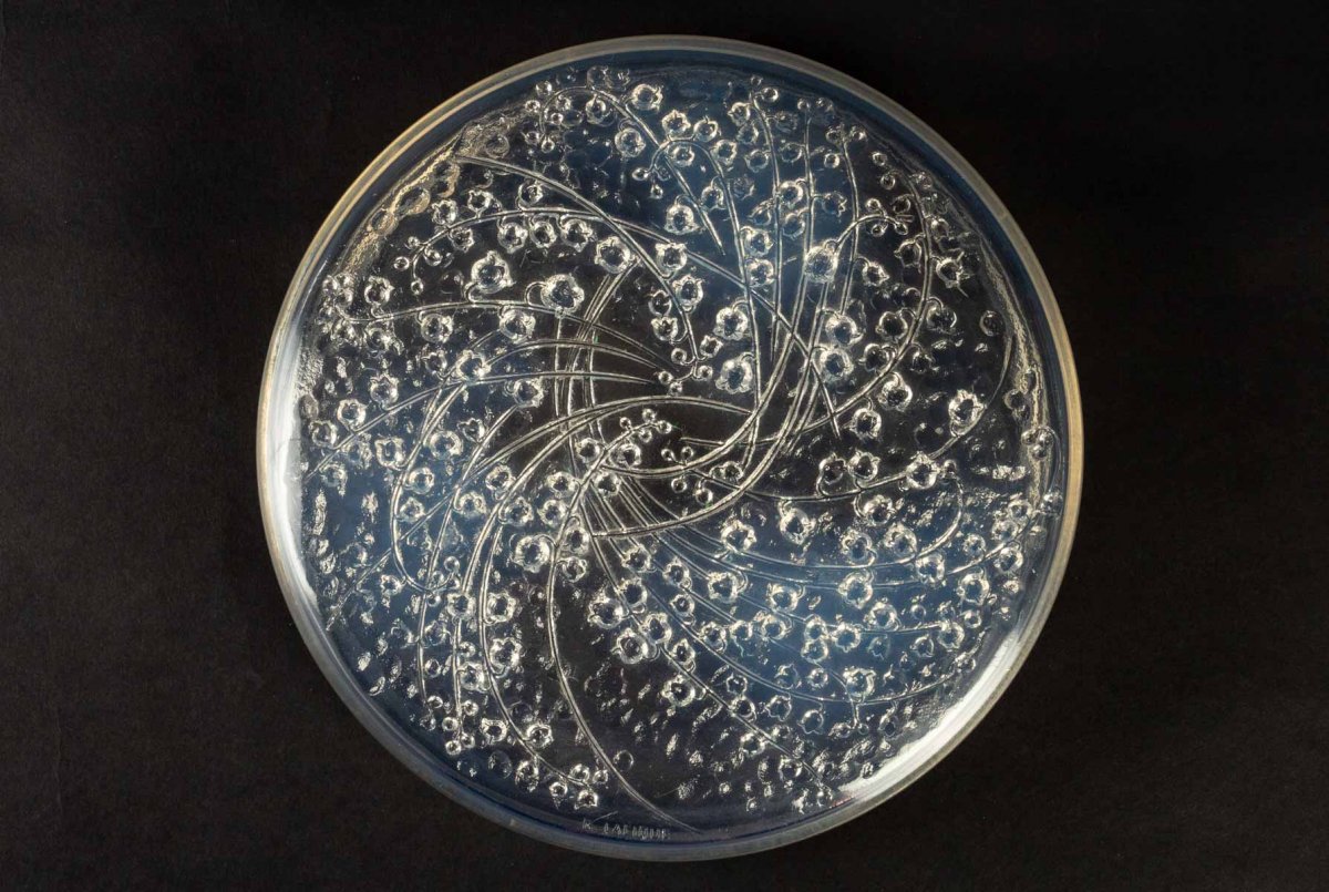 Rene Lalique : Opalescente Boite -photo-6