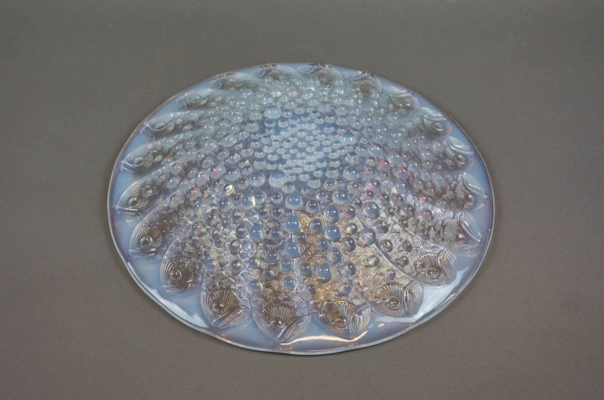 Rene Lalique -opalescente Coupe ''roscoff'-photo-3