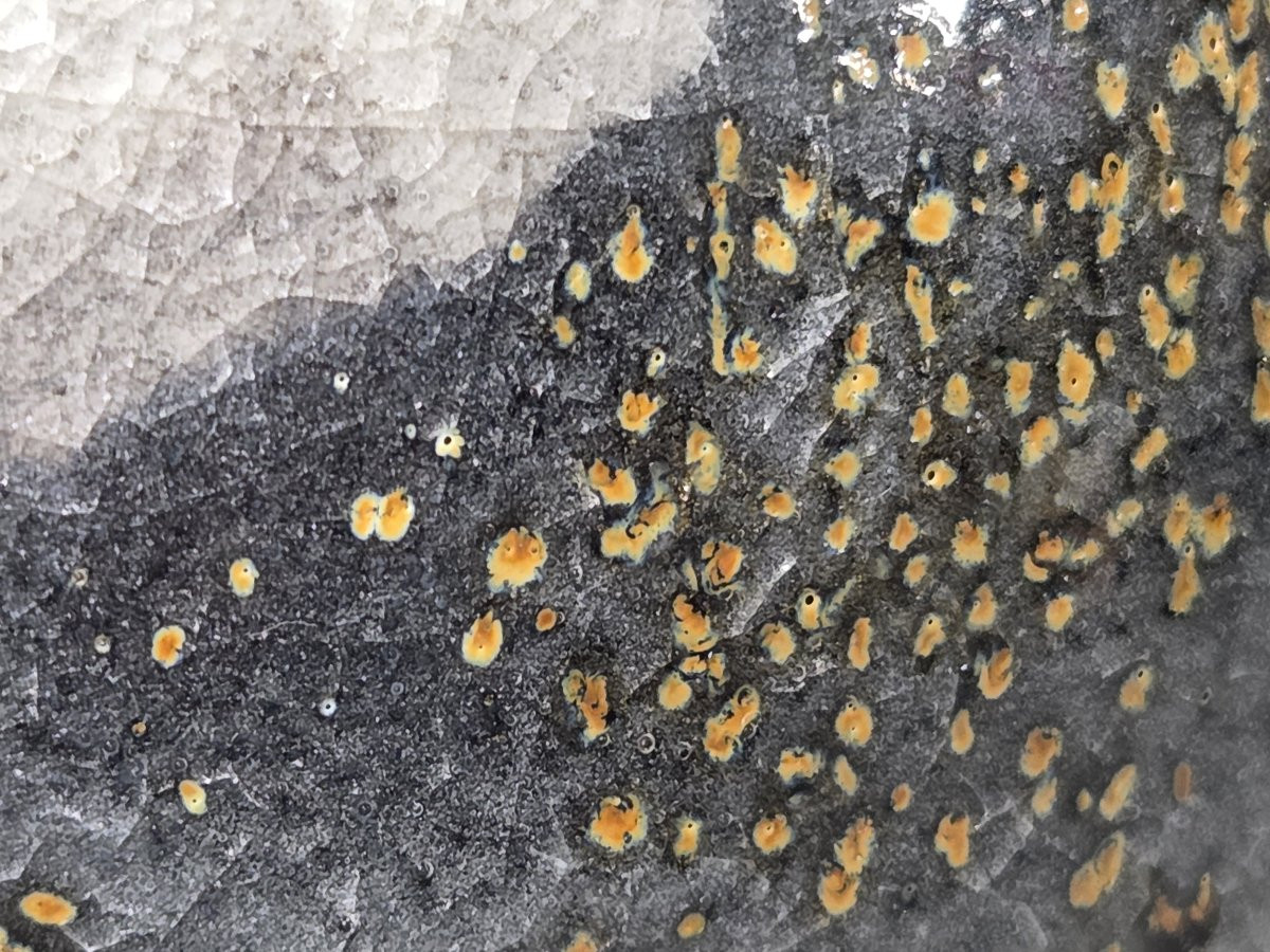 Thierry Perraud - Ceramics-photo-2