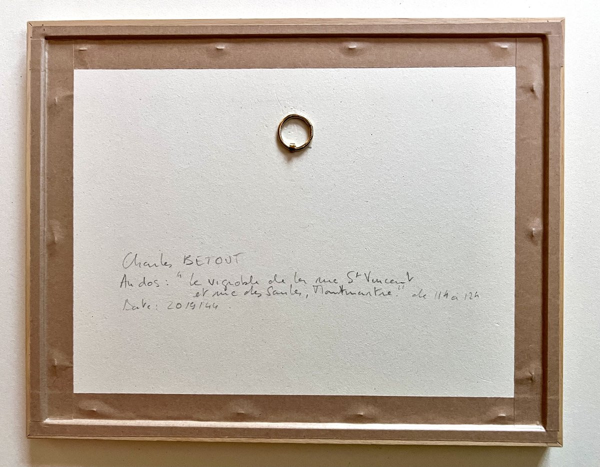 Vignoble à Montmartre Paris 1944. Charles BETOUT-photo-3