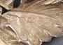 1572978-alb-685afa3b6b433.jpg