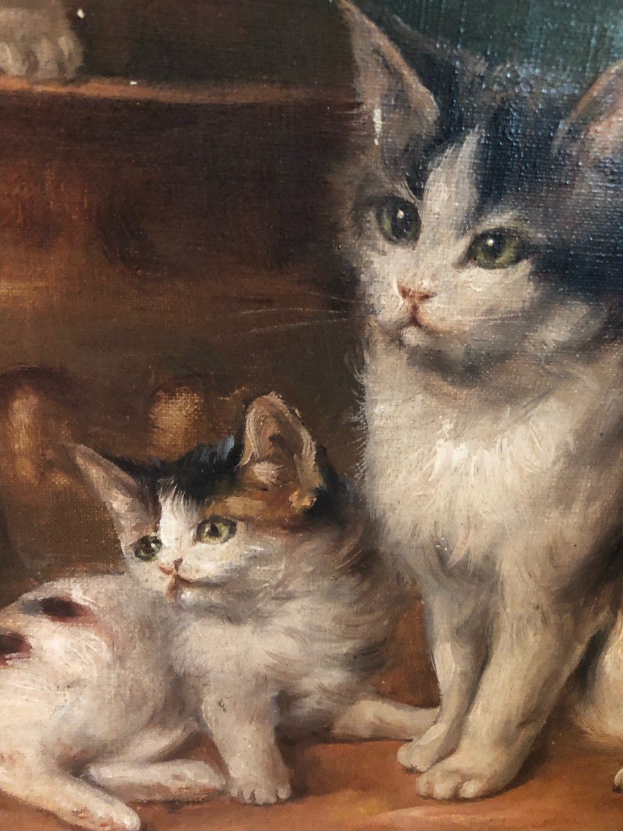 Les Chatons Huile Sur Toile-photo-2