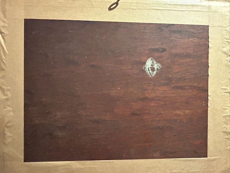 Les deux chiots et l'assiette de gaufres HSP de Zack Noterman-photo-6