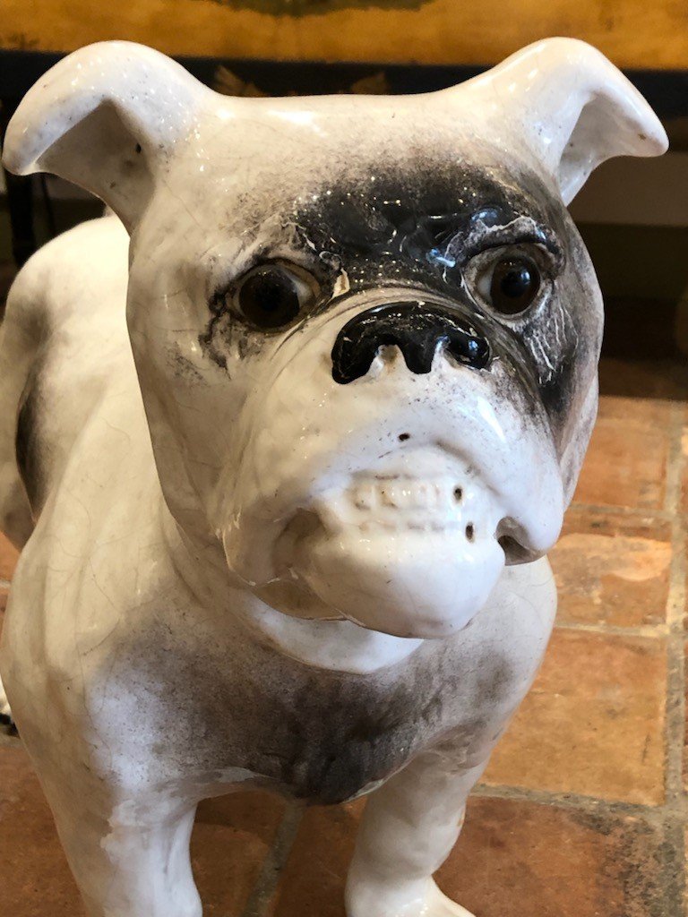 Enamelled Terracotta Bulldog 19th-photo-3