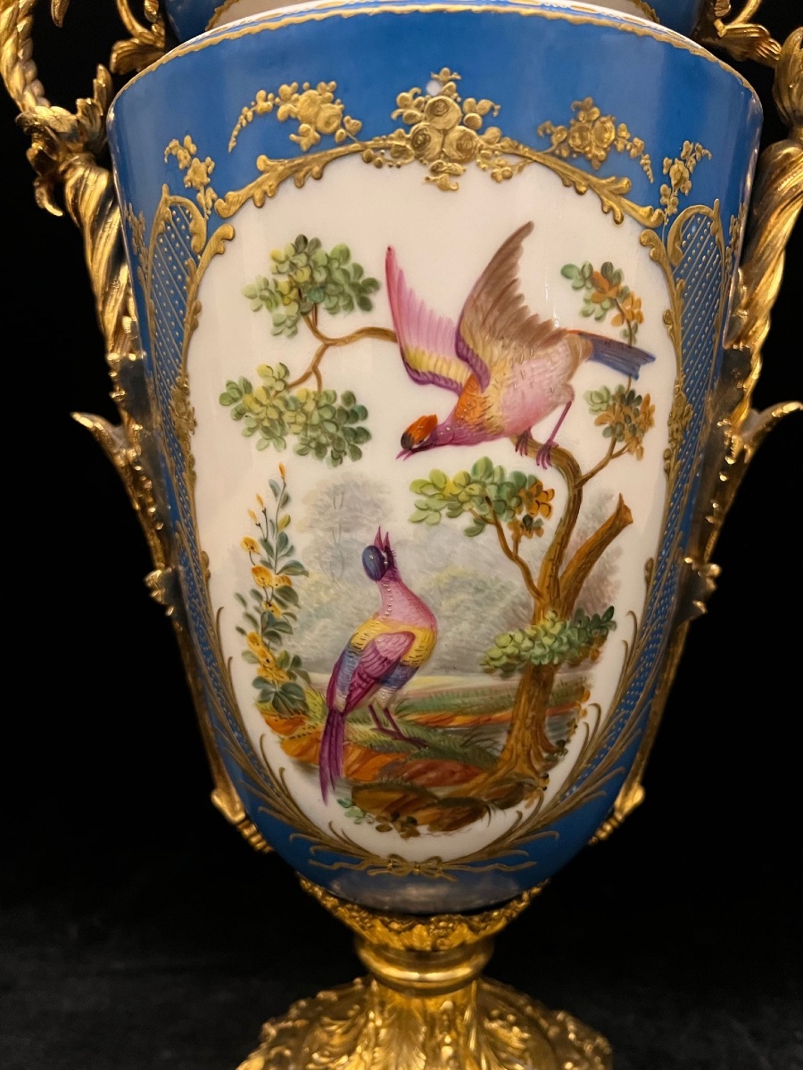 Porcelain Vase, "sèvres" Style-photo-4