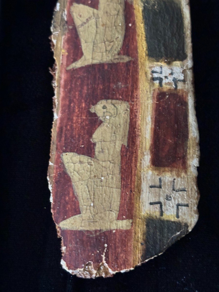 Fragment Of Cardboard Egypt-photo-3
