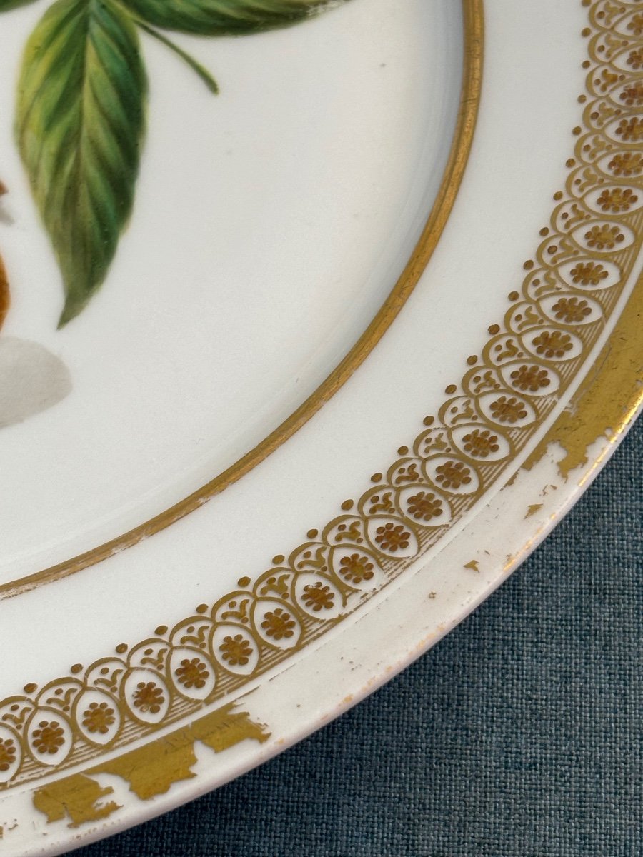 Assiette Modèle Botanique. XIX-photo-2