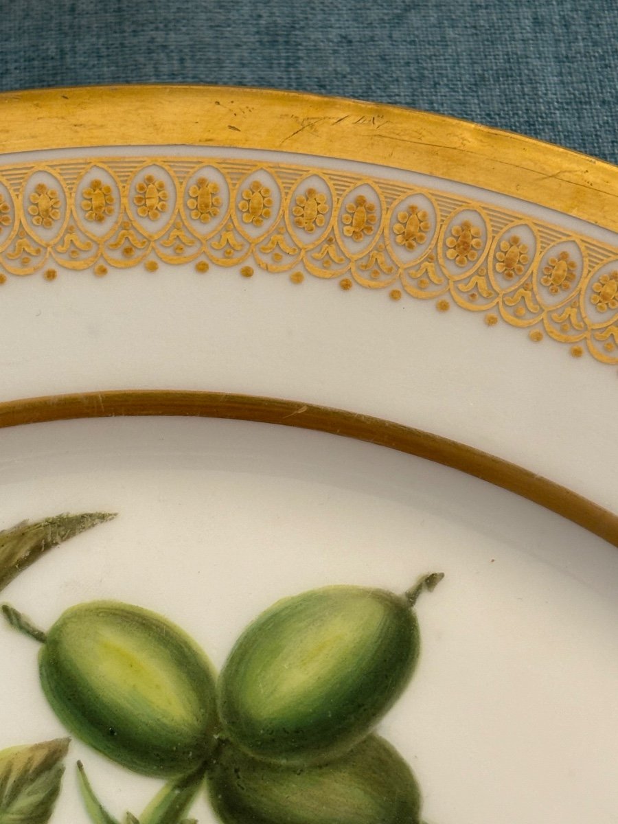 Assiette Modèle Botanique. XIX-photo-3