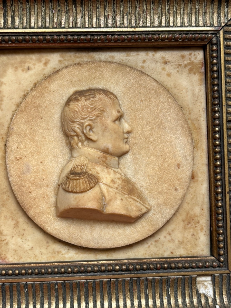 Tableau Portrait Napoleon Bonaparte Pierre Sculptee XIX ème-photo-2