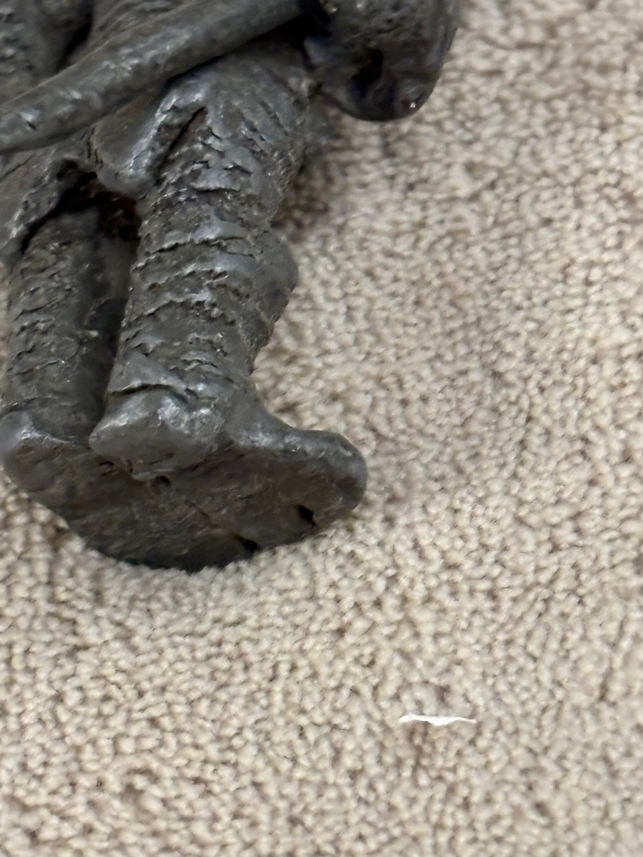 Le plomb de Seine-photo-1