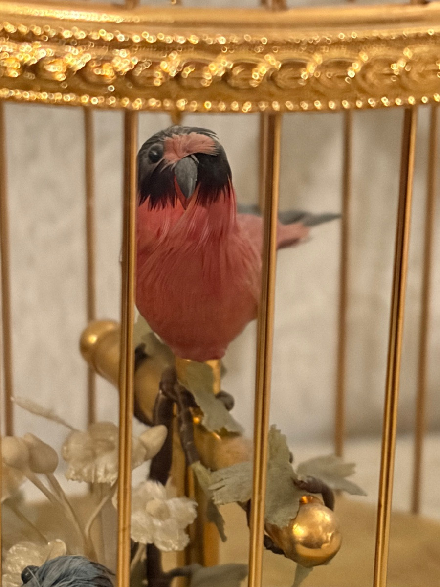 Reuge Two Singing Birds In A Golden Birdcage-photo-4