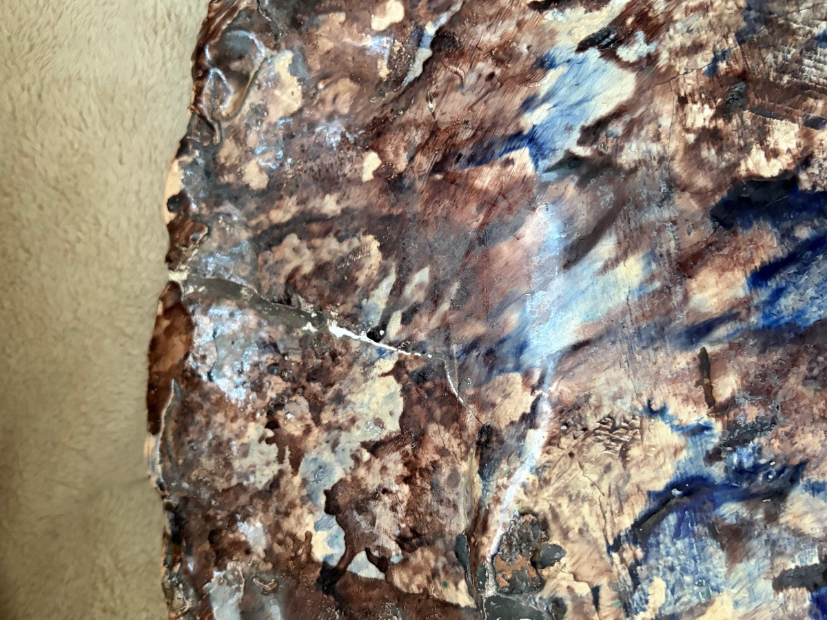 Large Follower Platter Palissy -photo-6