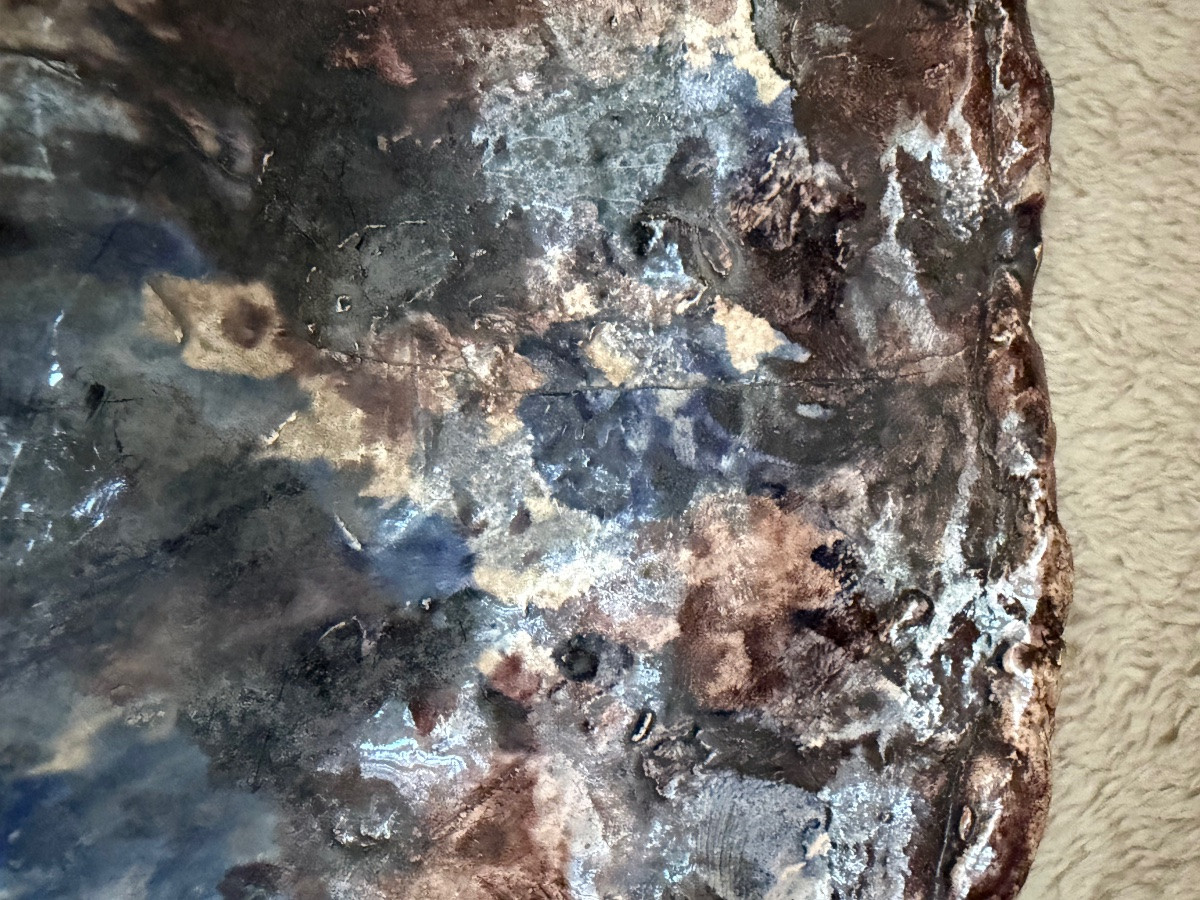 Large Follower Platter Palissy -photo-7