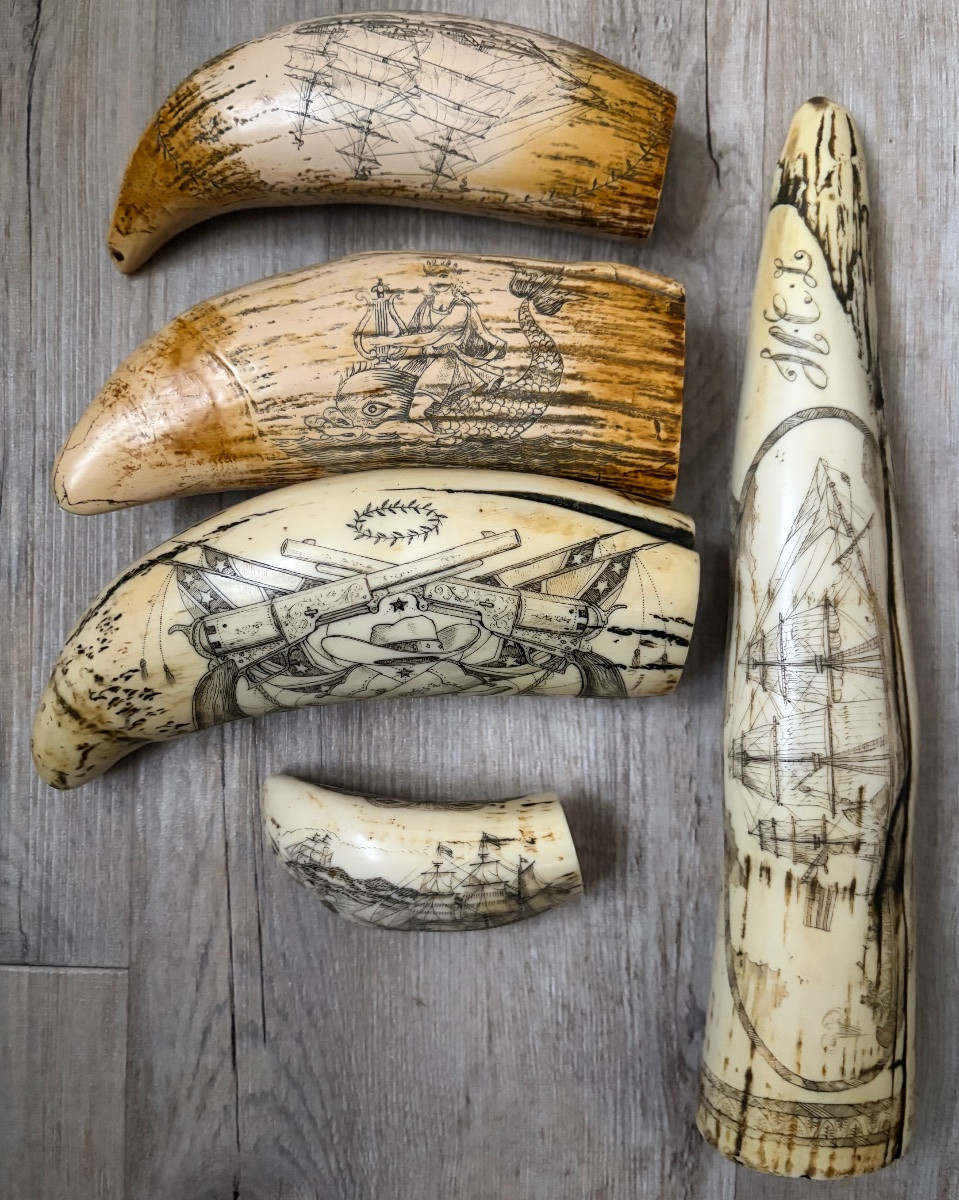 11 dents de morse  réplique modèle ancien-photo-3