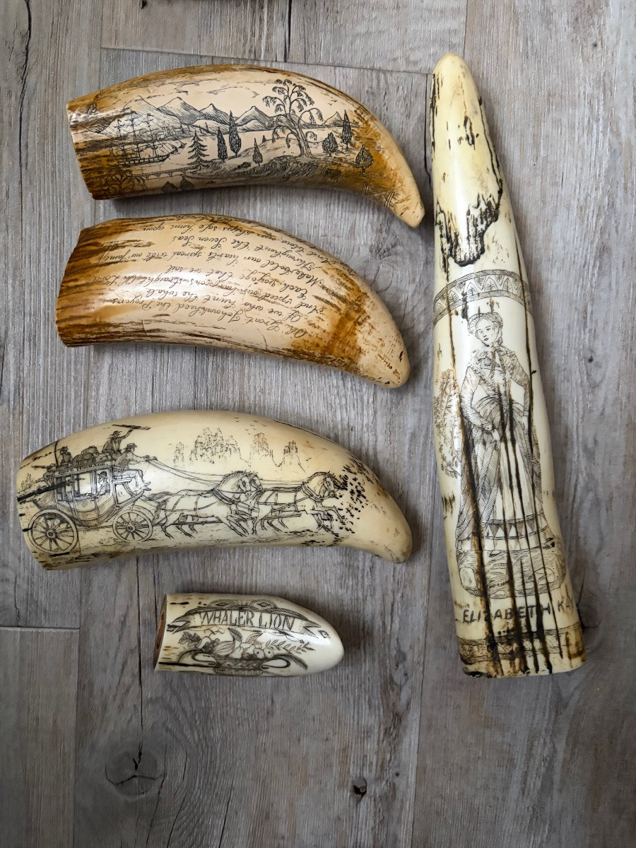 11 dents de morse  réplique modèle ancien-photo-3