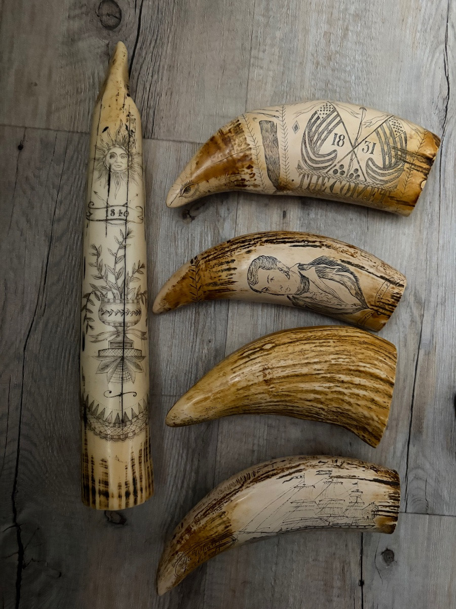 11 dents de morse  réplique modèle ancien-photo-4