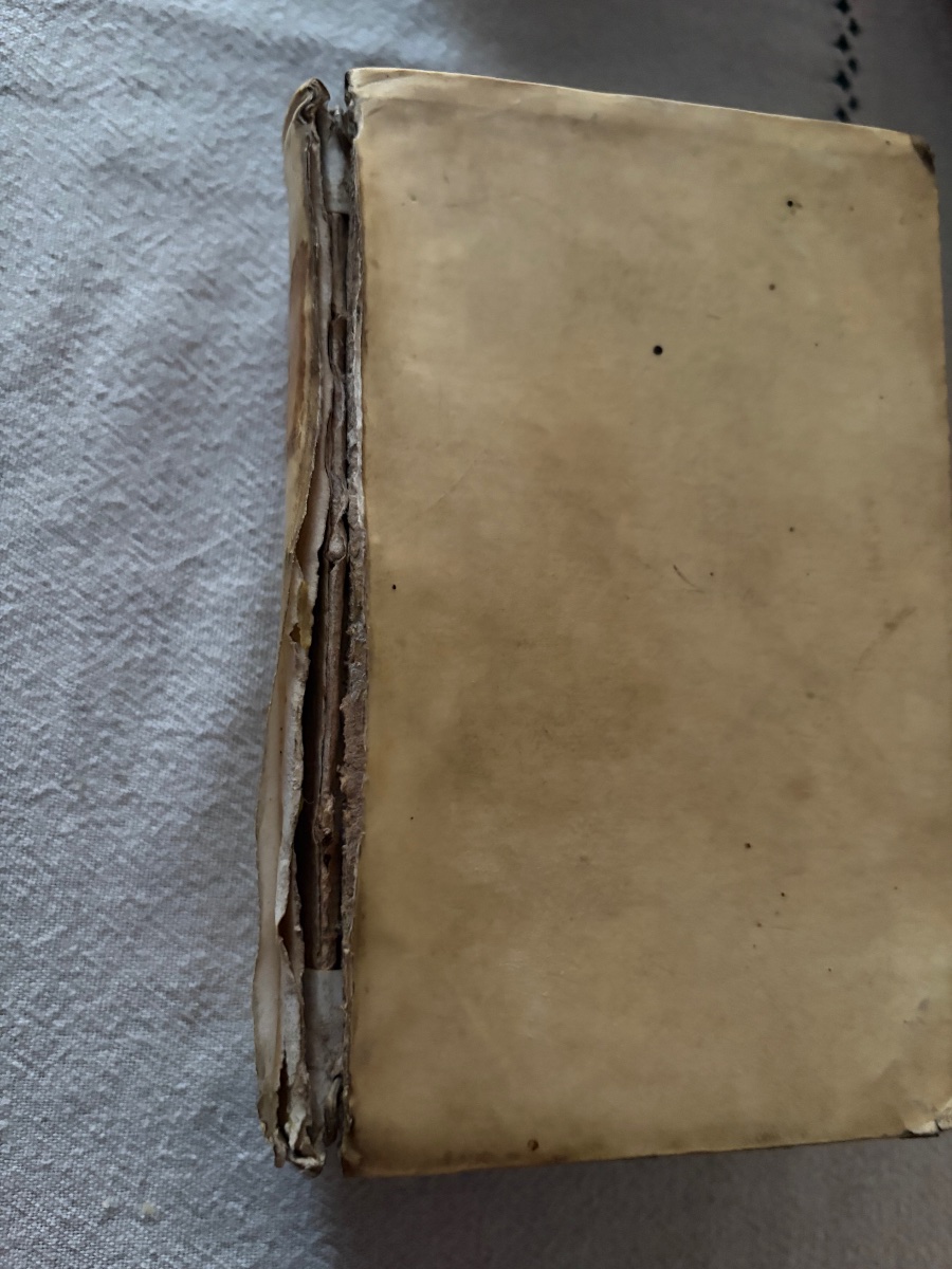 Book 1584.  In Latin -photo-6