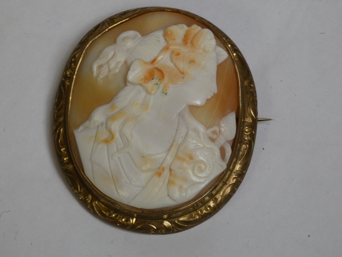 Broche Camee En Coquillage  -photo-2