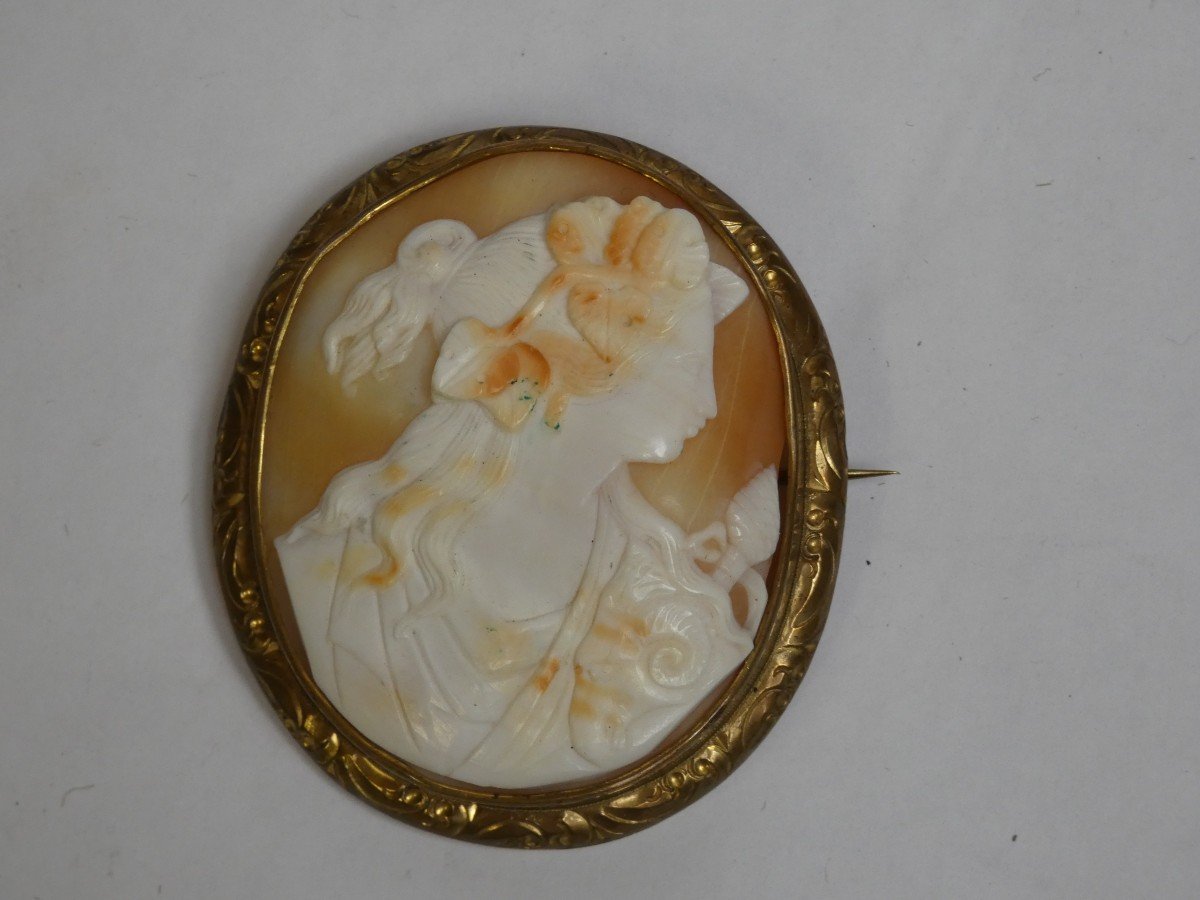 Broche Camee En Coquillage  -photo-3