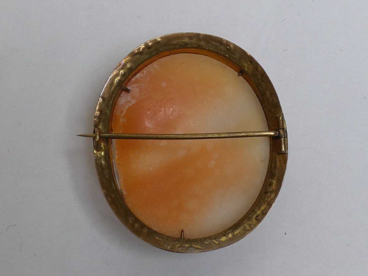 Broche Camee En Coquillage  -photo-4