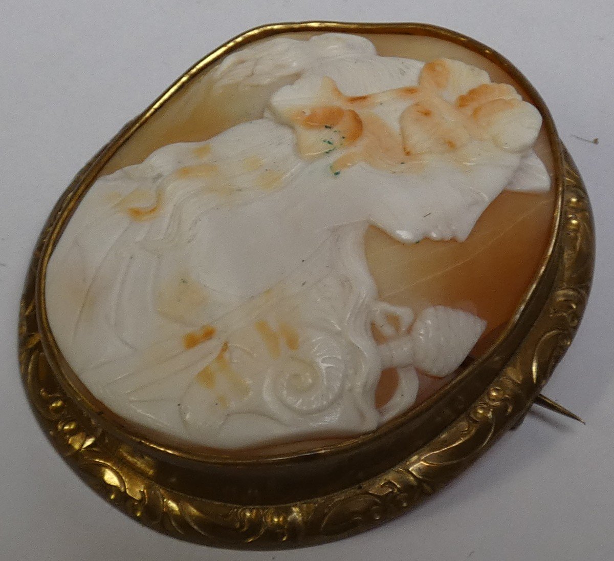 Broche Camee En Coquillage  