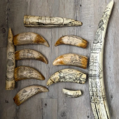 Premiere-Image-1737685