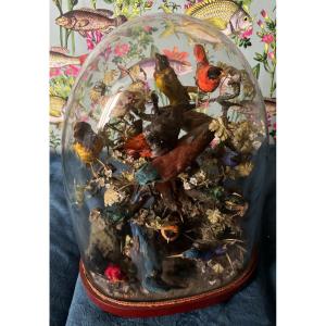 Naturalized Bird Globe, Napiii