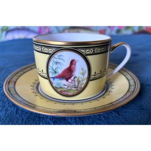 Cup With Saucer ..jardin Du Roi..bernardaud Limoges