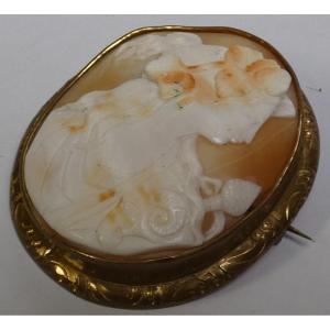 Shell Camee Brooch