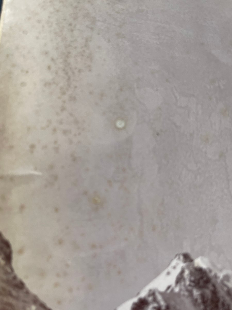 Photo original 1890 Montagne du Caucase Vittorio Sella-photo-4