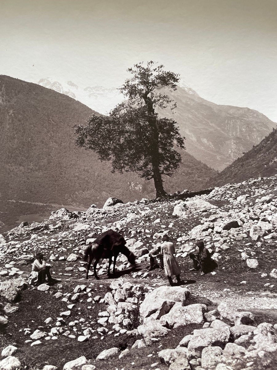 Original Photograph, 1890, Caucasus Mountains, Vittorio Sella-photo-4