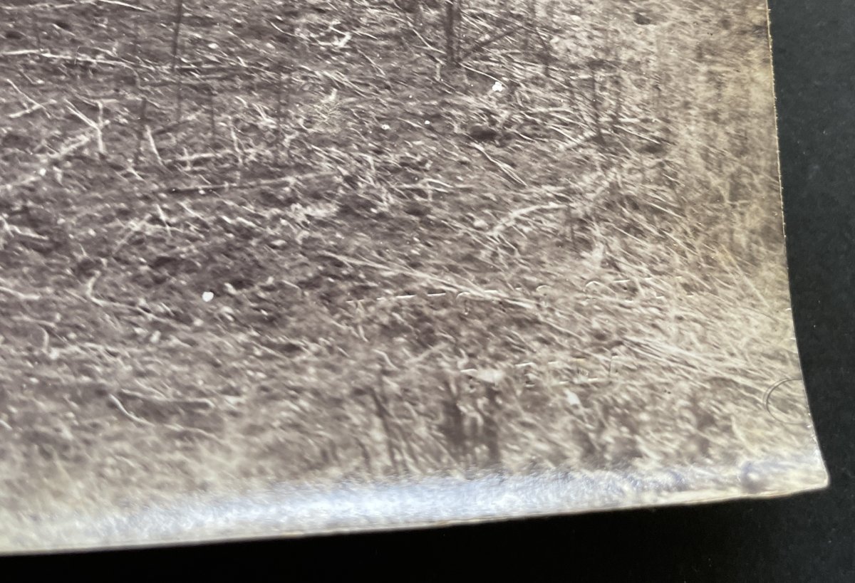 Photo original 1890 Montagne du  Caucase Vittorio Sella-photo-3