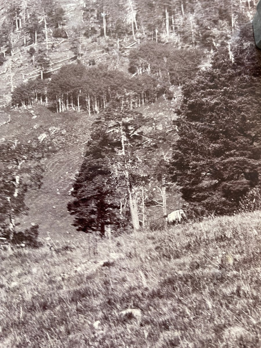 Photo original 1890 Montagne du Caucase Vittorio Sella-photo-4