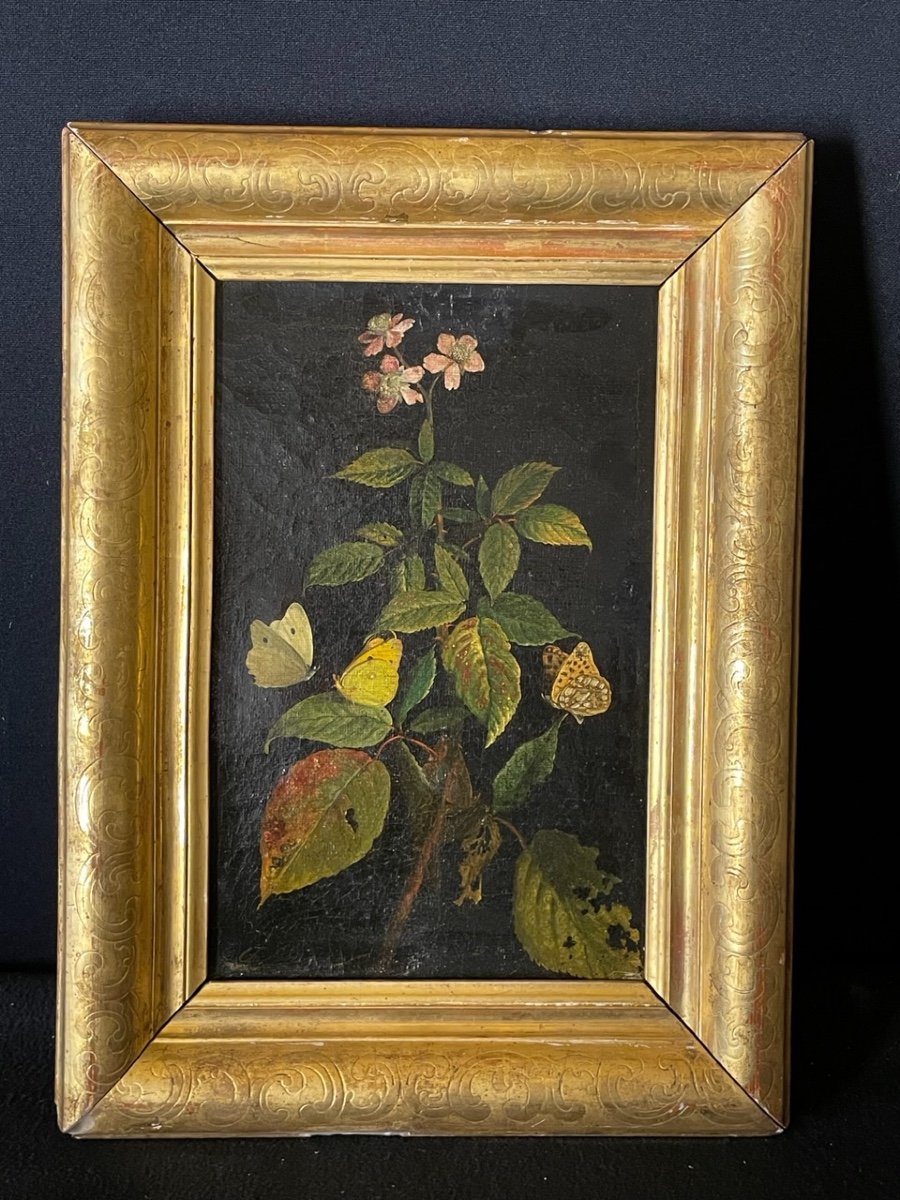Pair Of Still Lifes By Charles Node 1811-1886-photo-3