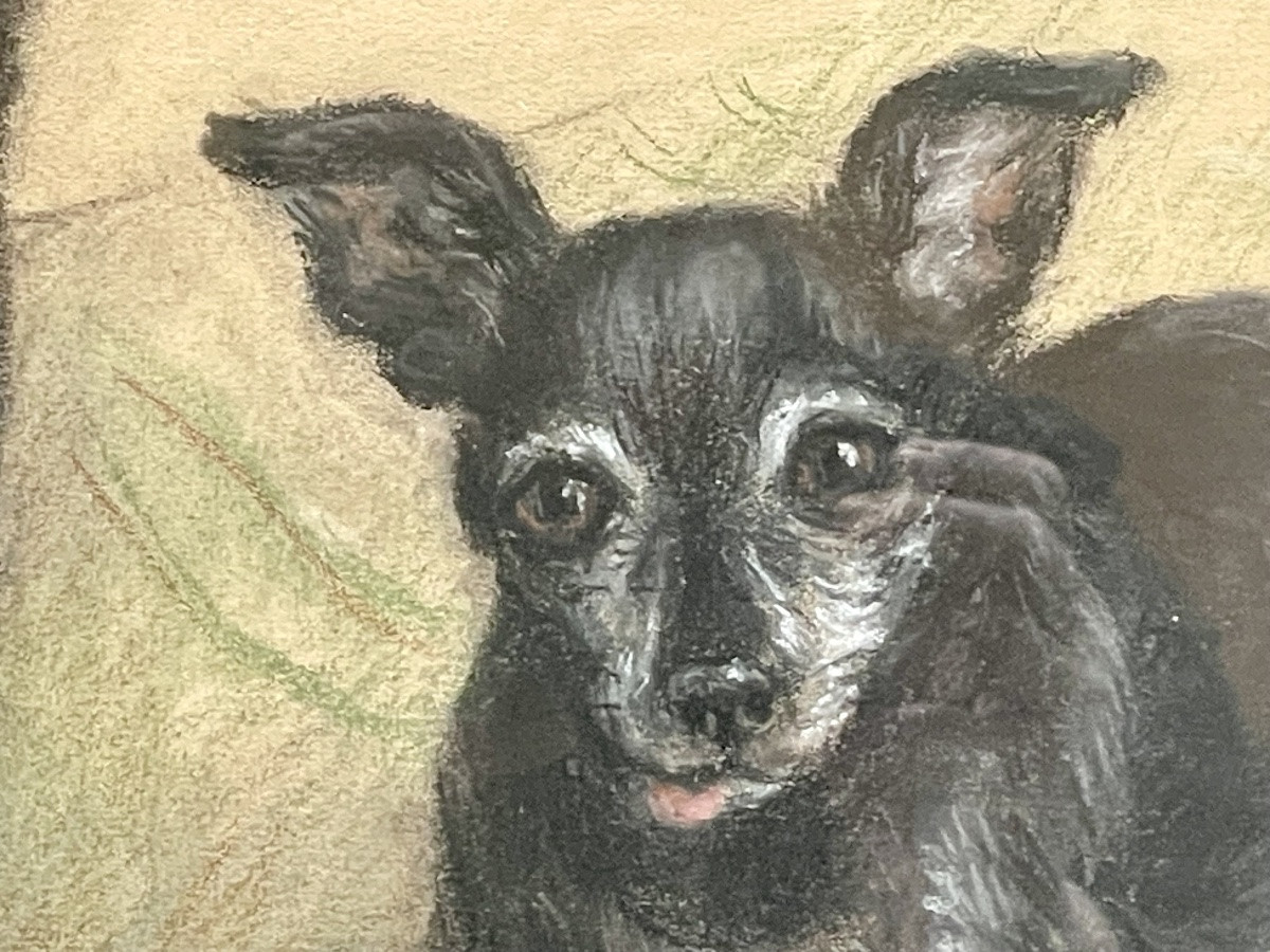 Pastel “portraits Of Chihuahua Dogs”-photo-4