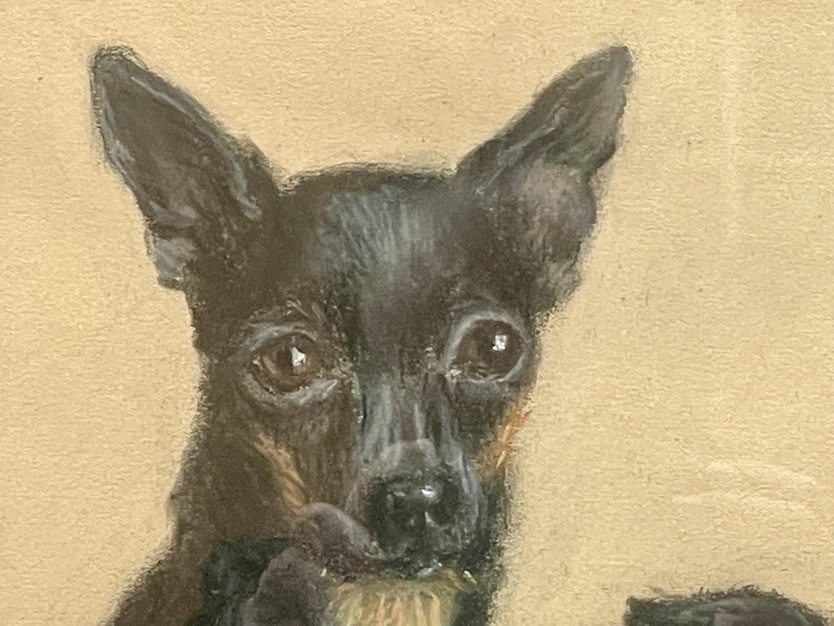 Pastel “portraits Of Chihuahua Dogs”-photo-1