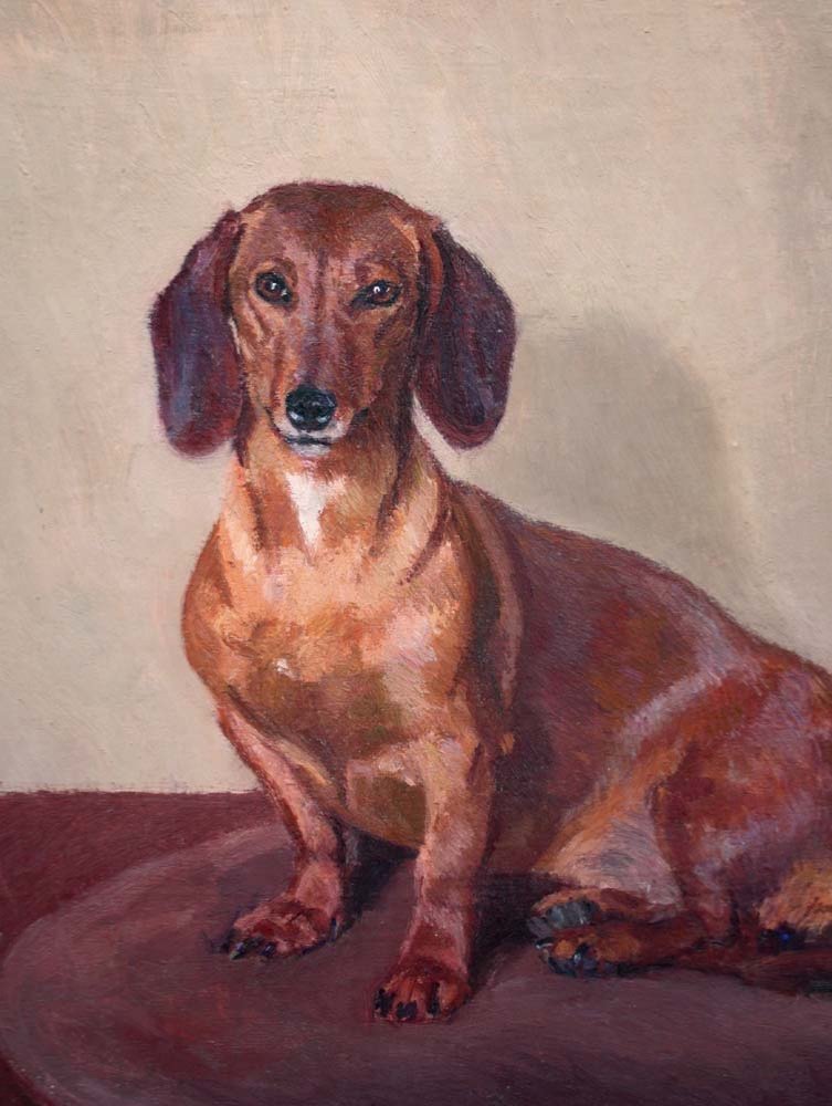 Portrait de Teckel Préféré par Helmut Bachrach - Barée (allemand 1898 - 1964)-photo-3