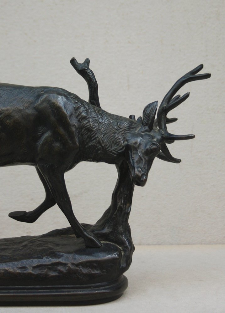 Antoine-Louis Barye (1796 - 1875) "Cerf frottant les bois", sculpture en bronze-photo-2