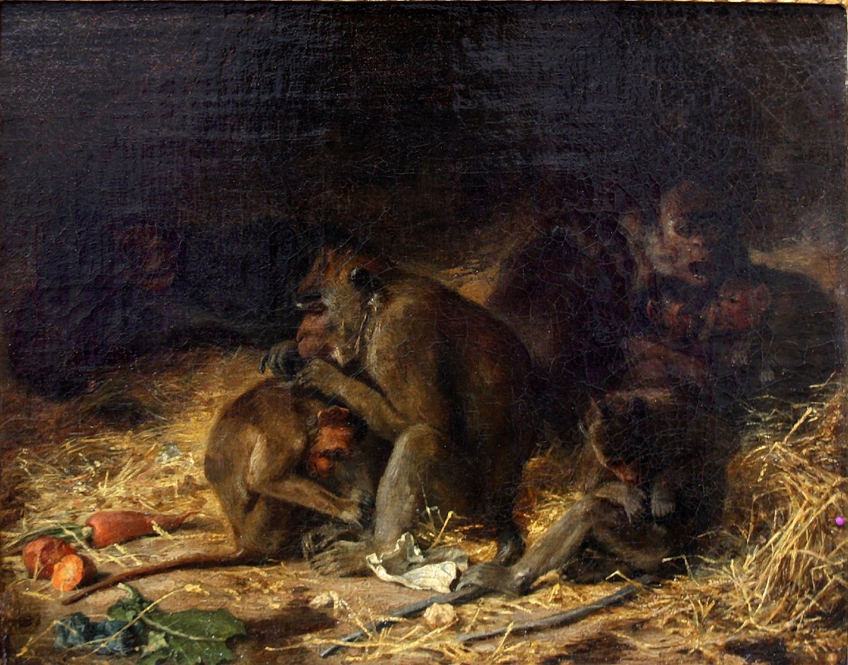Macaque Family By Paul Friedrich Meyerheim (german 1842 -1915)-photo-2